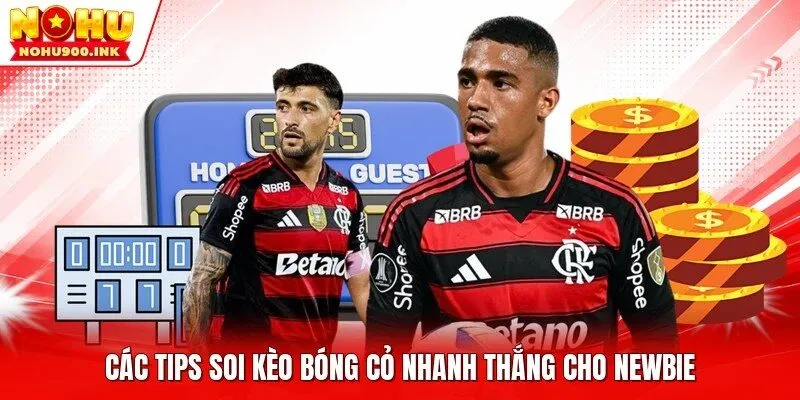 Các tips soi kèo bóng cỏ nhanh thắng cho newbie